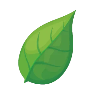 Illustration of a green leaf. Leaf vector art for nature-themed designs. Perfect for eco-friendly projects or West Chester, PA landscaping concepts.